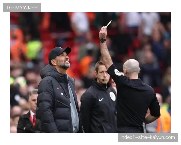 赫尔泽勒赛后谨慎回应判罚 避免言论不当遭英足总处罚